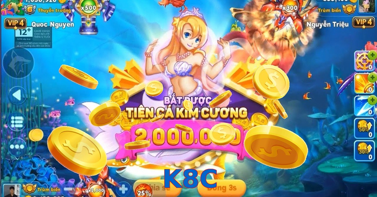 K8C