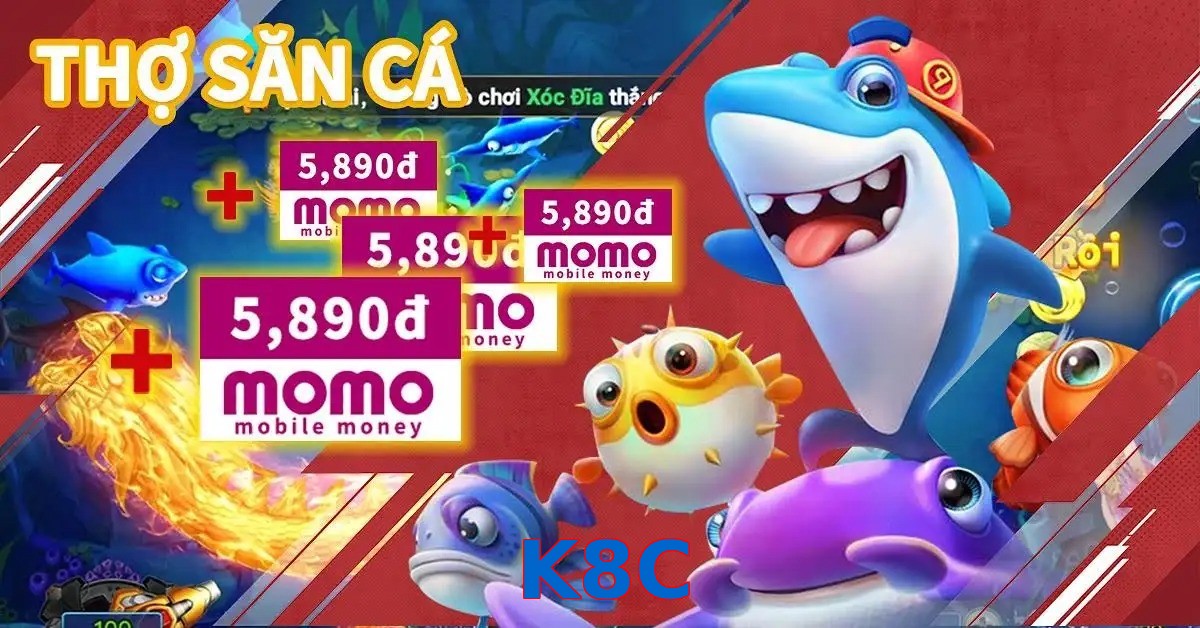 K8C